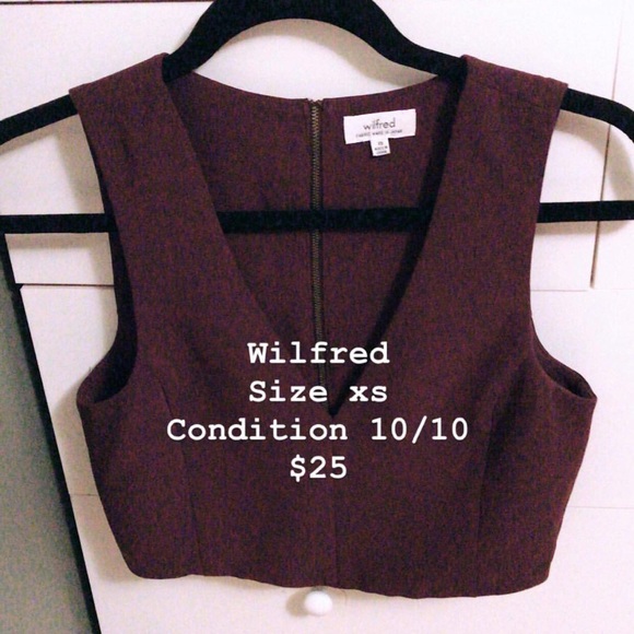 Wilfred Tops - Aritzia Wilfred maroon cropped tank (zipper back) Wilfred Tops - Aritzia Wilfred maroon cropped tank (zipper back)